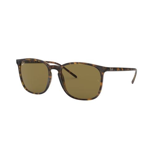 0RB4387 Square Sunglasses 710 73 - size 56