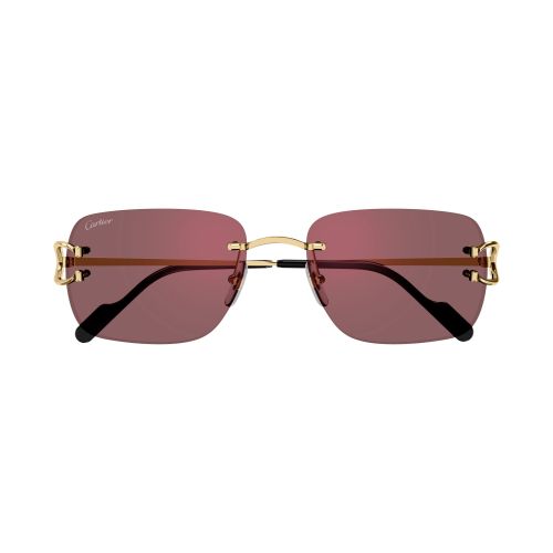 CT0330S Rectangle Sunglasses 012 - size 57