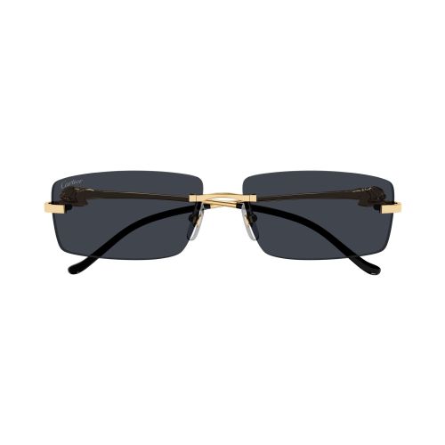 CT0430S Rectangle Sunglasses 001 - size 58
