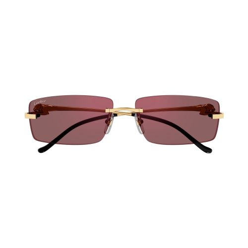 CT0430S Rectangle Sunglasses 009 - size 58