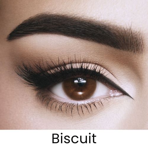 Biscuit Colored Contact Lens - Monthly