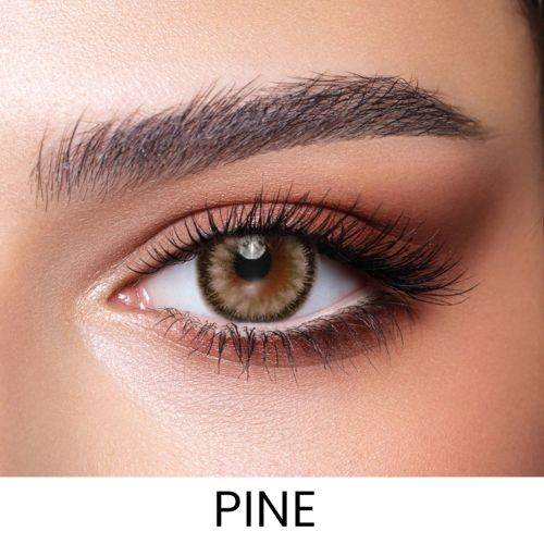 Pine Colored Contact Lens - Daily