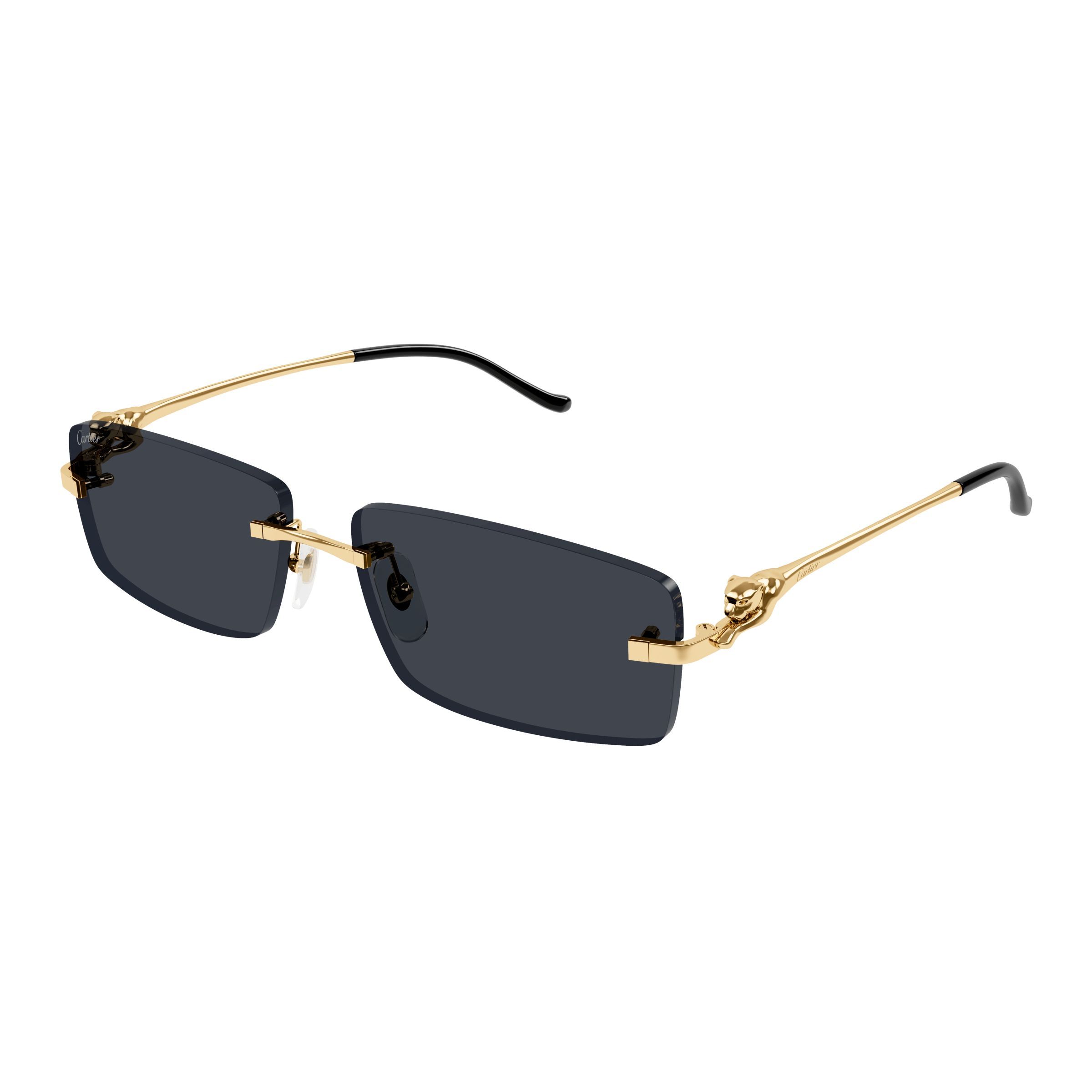 CT0430S Rectangle Sunglasses 001 - size 58