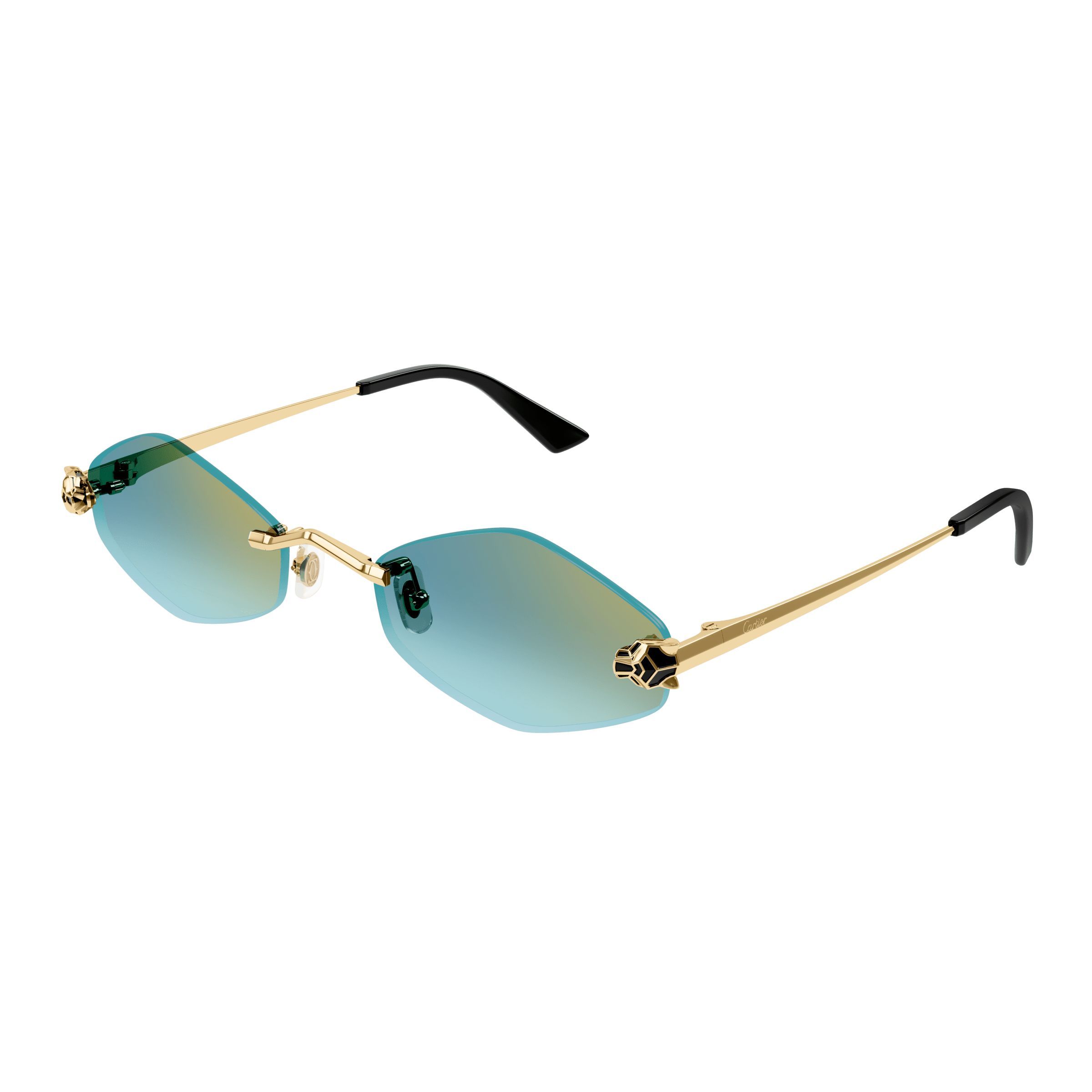 CT0433S Irregular Sunglasses 003 - size 55