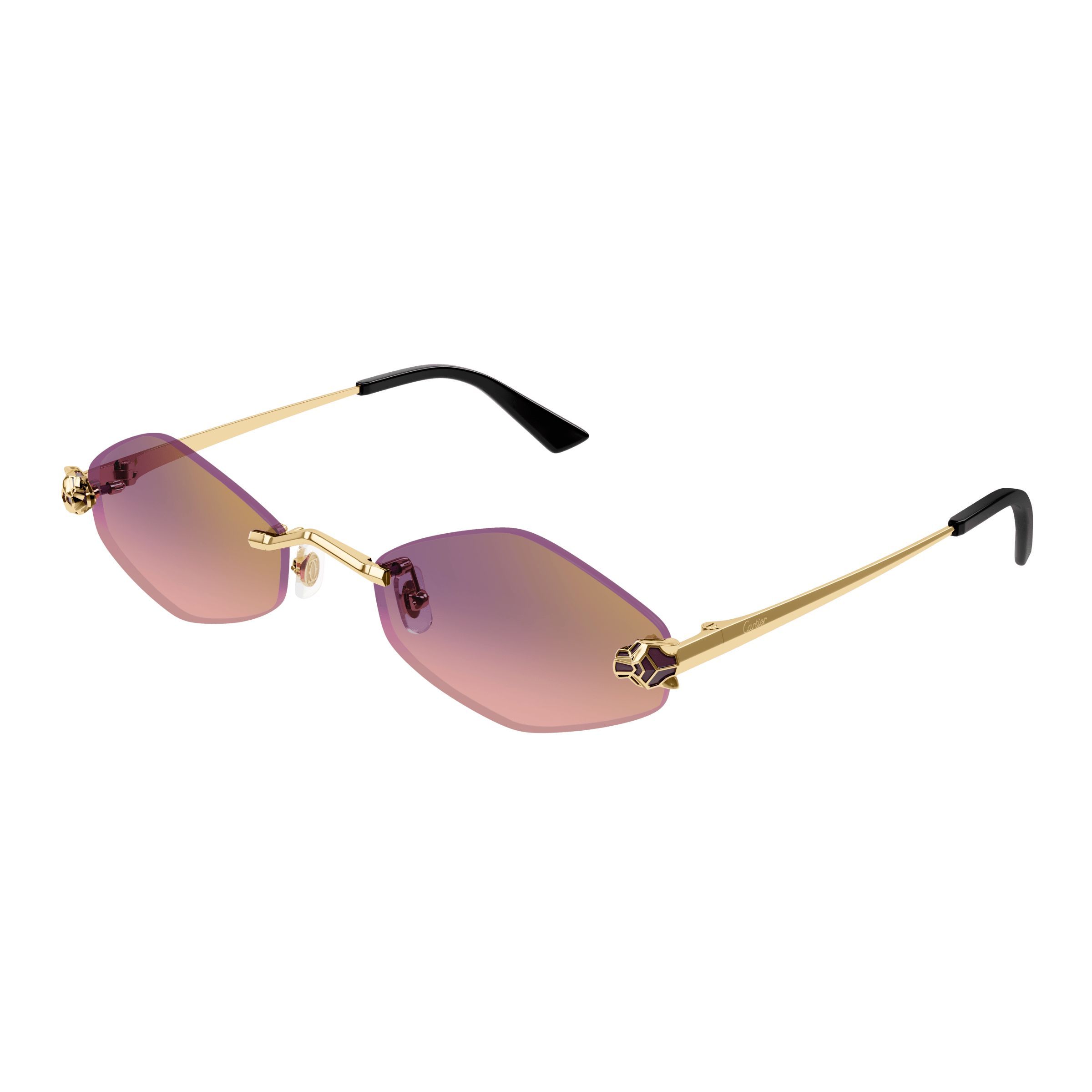 CT0433S Irregular Sunglasses 004 - size 55
